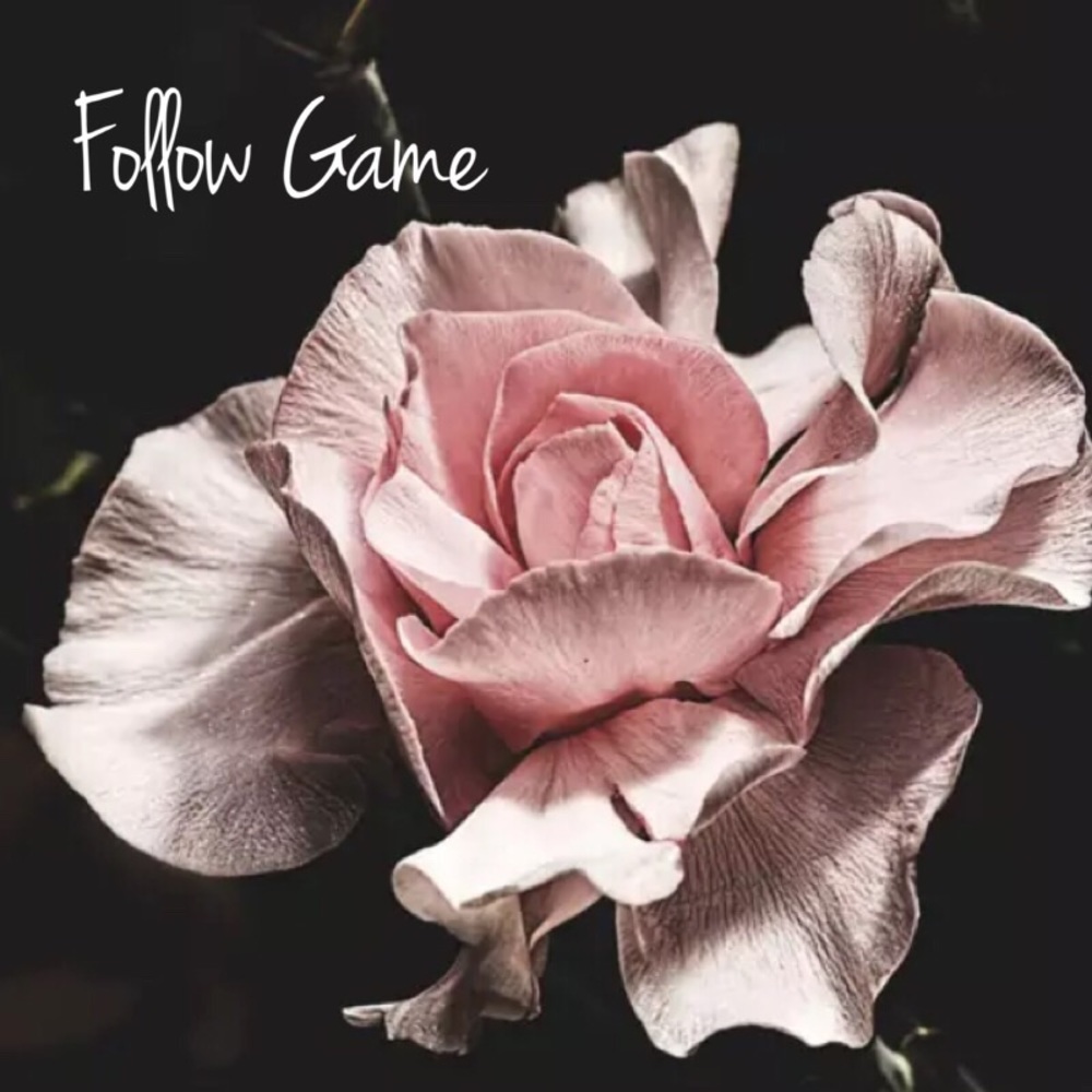 Follow Game